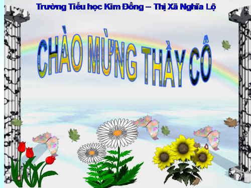 Tuần 11. Tính từ