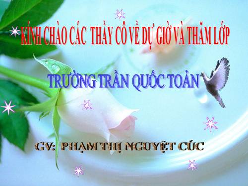 Tuần 11. Tính từ