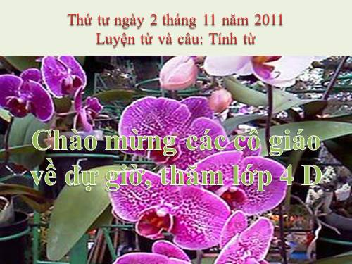 Tuần 11. Tính từ