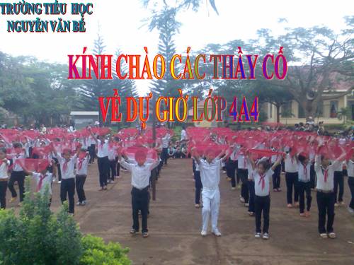 Tuần 9. Động từ