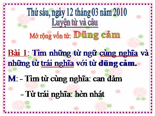 Tuần 25-26. MRVT: Dũng cảm