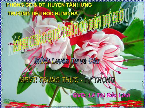 Tuần 5. MRVT: Trung thực - Tự trọng