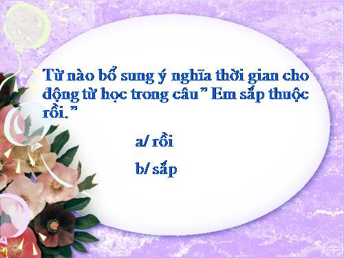 Tuần 11. Tính từ