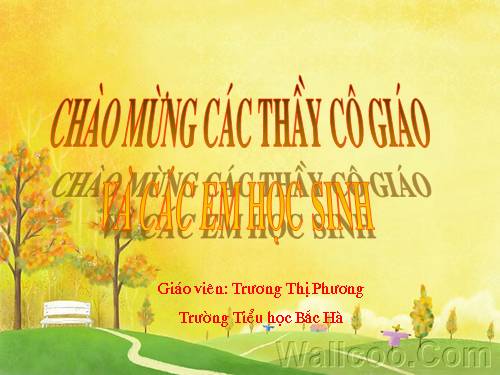 Tuần 25-26. MRVT: Dũng cảm