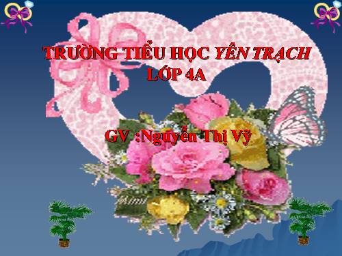 Tuần 29-30. MRVT: Du lịch - Thám hiểm