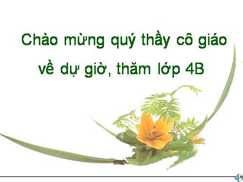 Tuần 11. Tính từ