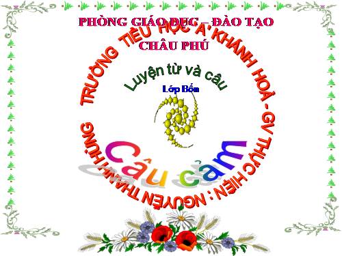 Tuần 30. Câu cảm