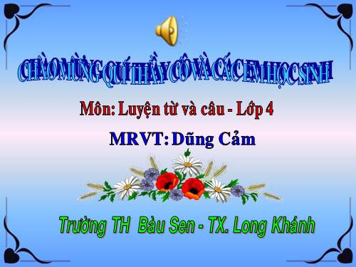 Tuần 25-26. MRVT: Dũng cảm