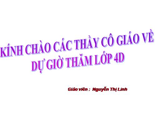 Tuần 29-30. MRVT: Du lịch - Thám hiểm