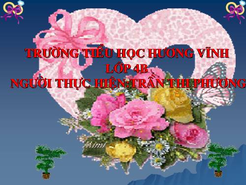 Tuần 29-30. MRVT: Du lịch - Thám hiểm