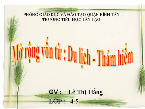 Tuần 29-30. MRVT: Du lịch - Thám hiểm