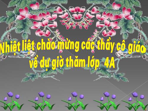Tuần 9. Động từ