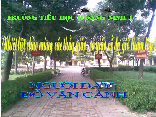 Tuần 24. Câu kể Ai là gì?