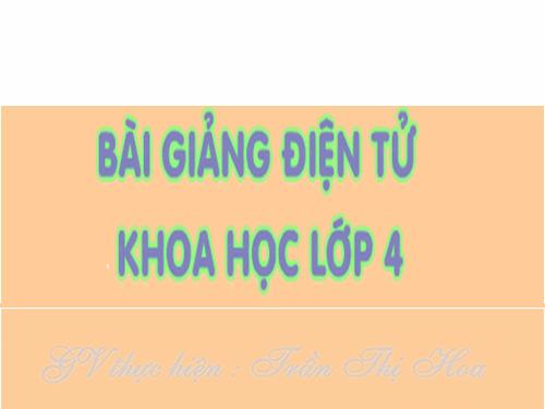 Tuần 15. Giữ phép lịch sự khi đặt câu hỏi