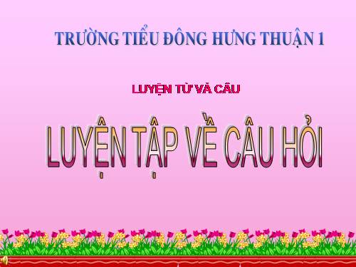 Tuần 14. Luyện tập về câu hỏi