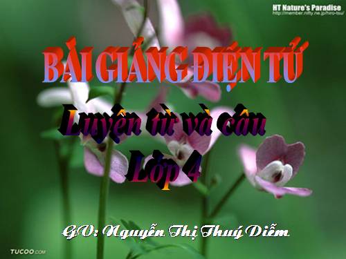 Tuần 11. Tính từ