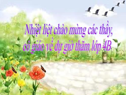 Tuần 9. Động từ