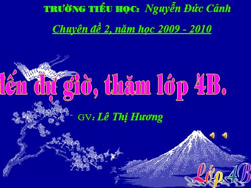 Tuần 29-30. MRVT: Du lịch - Thám hiểm