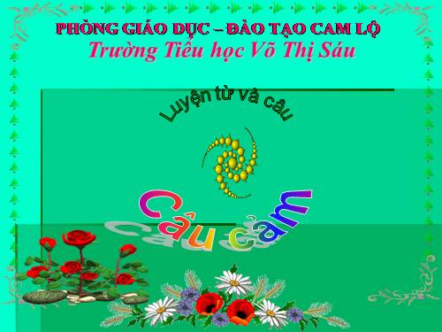 Tuần 30. Câu cảm