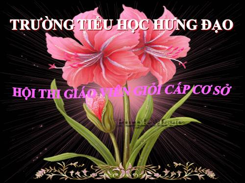 Tuần 22. Chủ ngữ trong câu kể Ai thế nào?