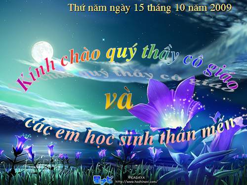 Tuần 9. Động từ