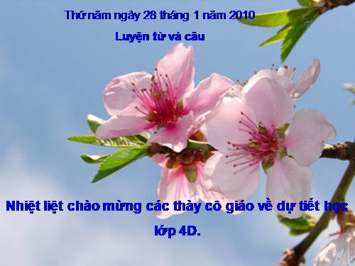 Tuần 22-23. MRVT: Cái đẹp