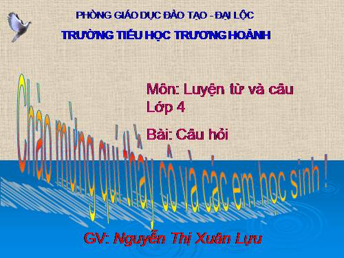 Tuần 14. Luyện tập về câu hỏi