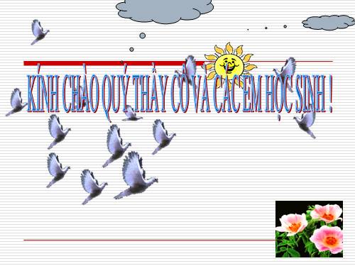Tuần 24. Câu kể Ai là gì?