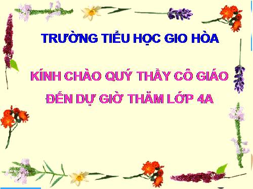 Tuần 7. Luyện tập viết tên người, tên địa lí Việt Nam