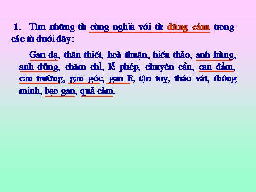 Tuần 25-26. MRVT: Dũng cảm