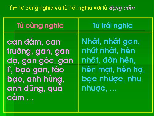 Tuần 25-26. MRVT: Dũng cảm