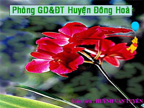 Tuần 29-30. MRVT: Du lịch - Thám hiểm