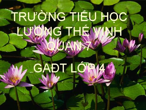 Tuần 25-26. MRVT: Dũng cảm