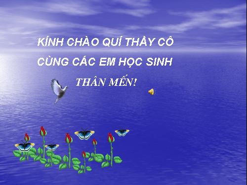 Tuần 24. Câu kể Ai là gì?