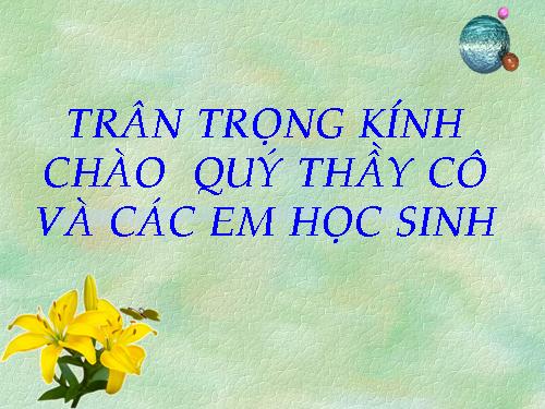 Tuần 9. Động từ