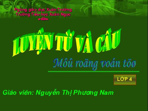 Tuần 22-23. MRVT: Cái đẹp