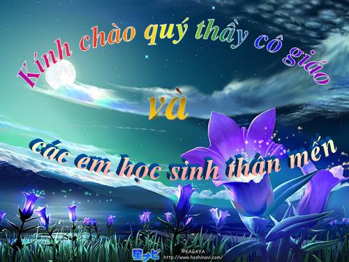 Tuần 25-26. MRVT: Dũng cảm