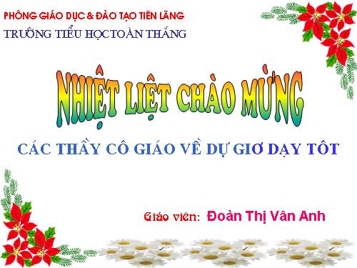 Tuần 29-30. MRVT: Du lịch - Thám hiểm