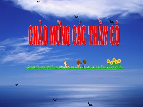 Tuần 9. Động từ