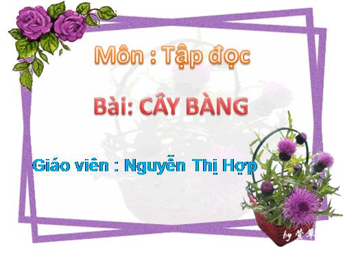 tập đọc 1 bai cay bàng