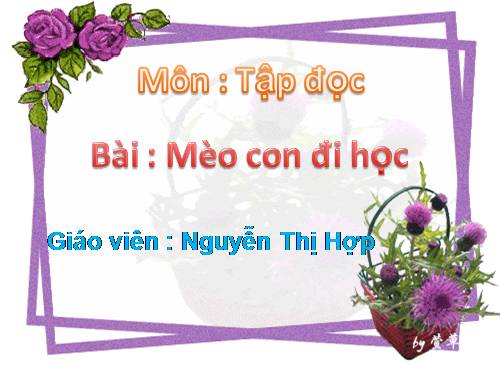 Tuần 7. Mèo con đi học