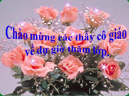 Tuần 5. Vì bây giờ mẹ mới về