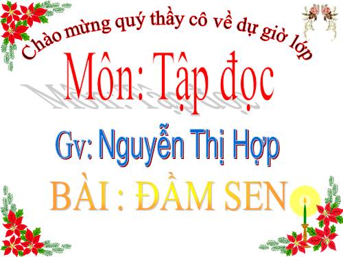 Tuần 6. Đầm sen