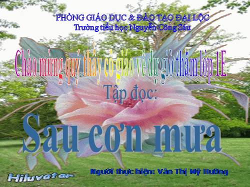 Tuần 9. Sau cơn mưa