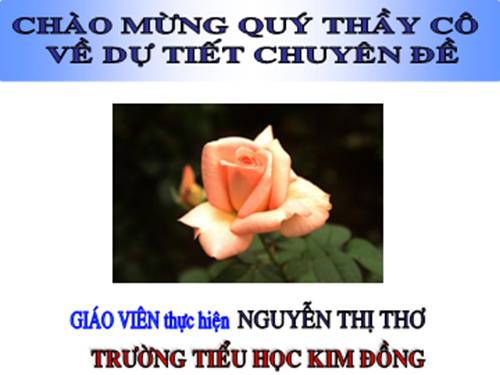 Tuần 9. Hồ Gươm