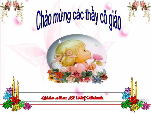 Tuần 10. Cây bàng