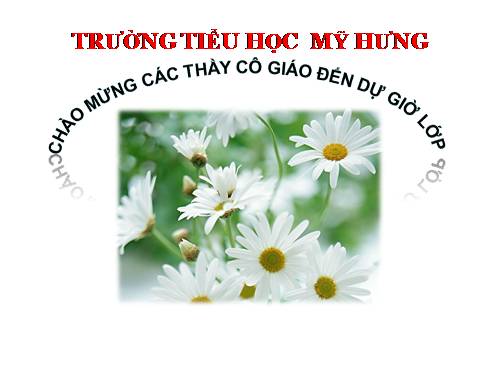 Tuần 7. Người bạn tốt