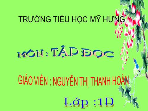 Tuần 7. Mèo con đi học