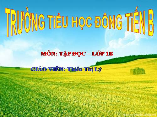 Tuần 2. Bàn tay mẹ