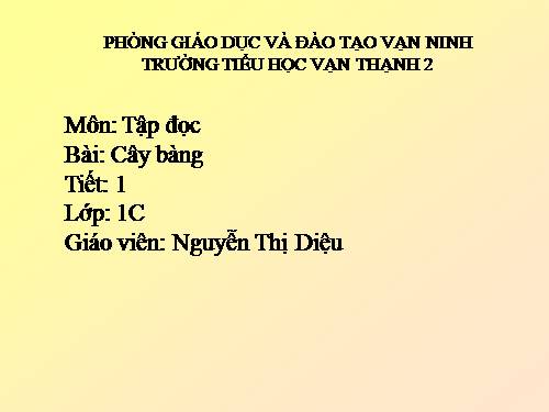 Tuần 10. Cây bàng